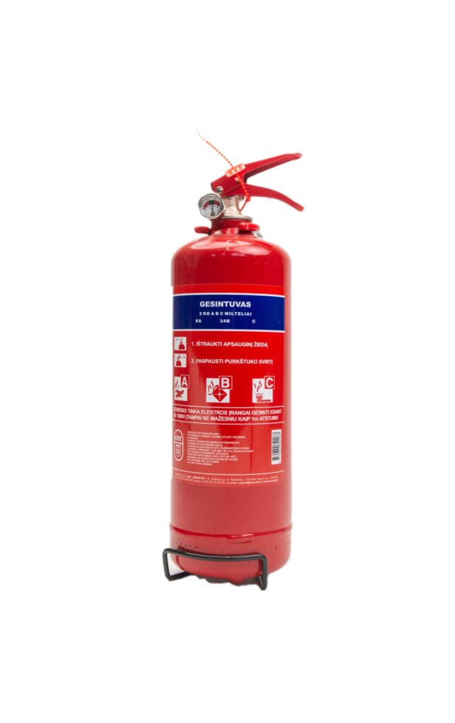 REINOLDMAX automobilinis miltelinis gesintuvas 2 kg
